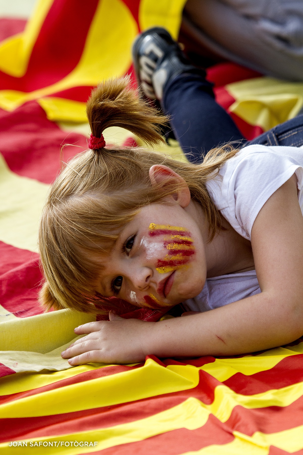 19/ Catalunya 11-09-2013. Diada Nacional de Catalunya. La Via Catalana ha estat la més llarga i multitudinària mai feta a tota la Unió Europea.
