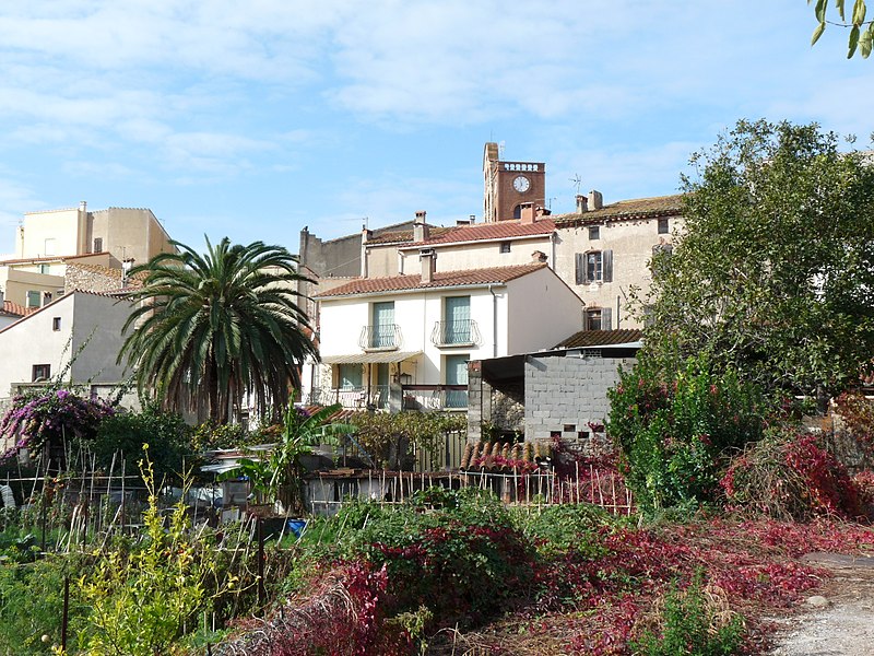 Sureda (Llibre Blanc de Catalunya Nord)