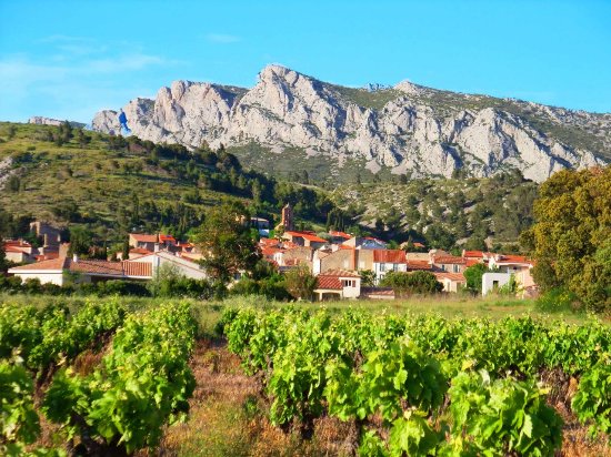 Vingrau (Llibre Blanc de Catalunya Nord)