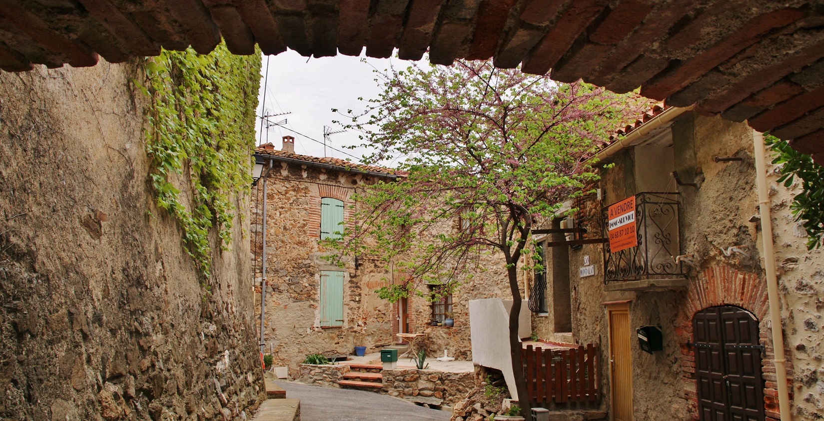 Llauró (Llibre Blanc de Catalunya Nord)
