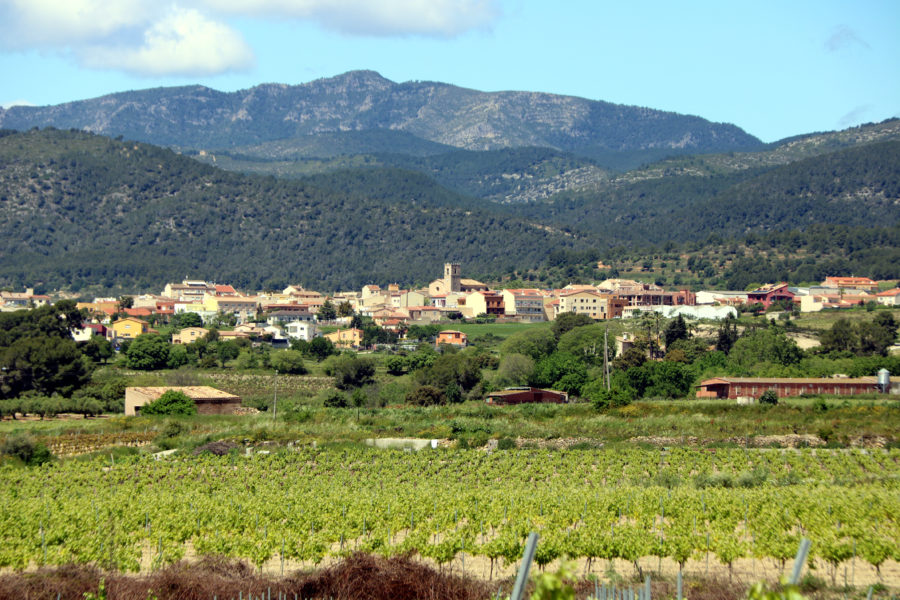Sant Jaume dels Domenys (Col·lectiu de Municipis Catalans Sense Fronteres)
